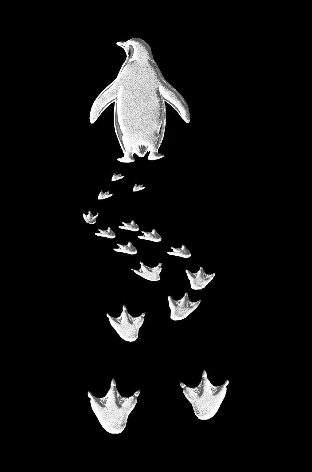 Kadın Nihilist Penguen Temalı Oversize Bisiklet Yaka Tişört - Siyah