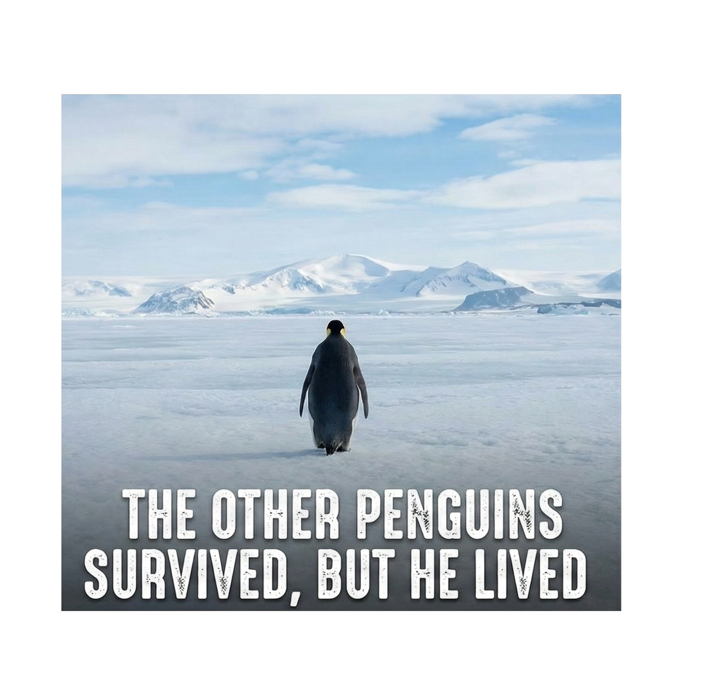 Siyah Oversize - Sırt Baskılı "Survivor Penguin" Temalı Felsefi Yazılı Kapüşonlu - Beyaz
