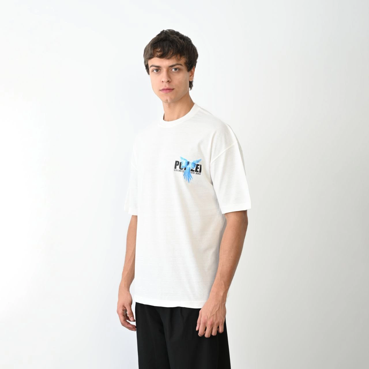 Erkek Baskılı T-Shirt Kısa Kol Bisiklet Yaka Regular Fit Rahat Kalıp Günlük Tişört - Beyaz